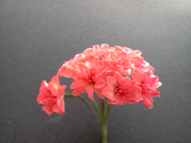 Fuschia Flowers* - Click Image to Close